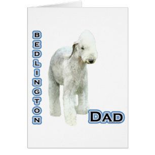Bedlington Terrier Papa 4