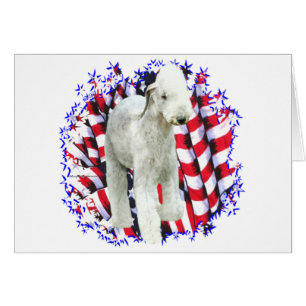 Bedlington Terrier Patriot