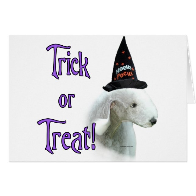 Bedlington Terrier Trick (Devant horizontal)