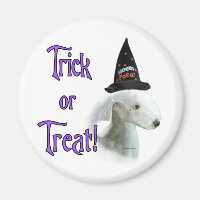 Bedlington Terrier Trick