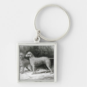 Bedlington Terriers- Mr. F. Armstrong's Keychain