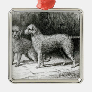 Bedlington Terriers- Mr. F. Armstrong's Metal Ornament