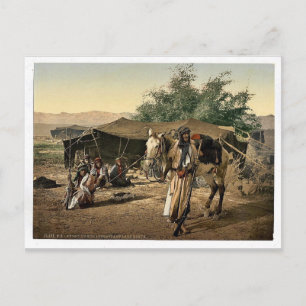 Bedouins and their tents, Holy Land rare Photochro Postcard