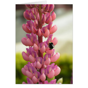 Bee 5x7 Card