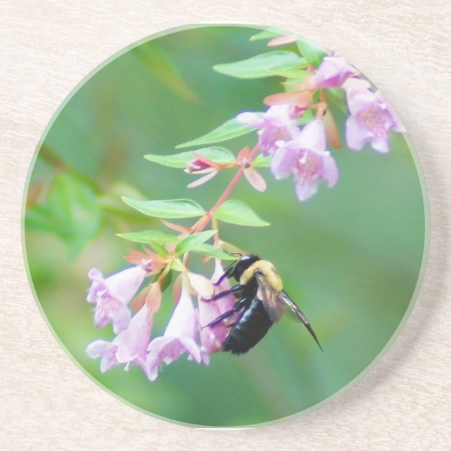 Bee and Abelia Coaster (Front)