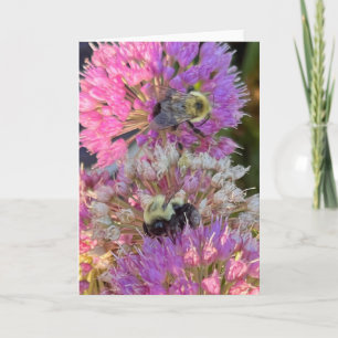Bee and Blossom Greeting  Card