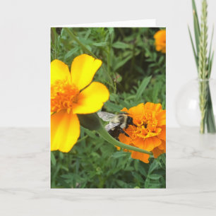 Bee and Blossom Greeting  Card