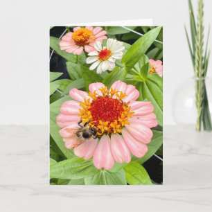 Bee and Blossom Greeting  Card