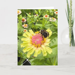 Bee and Blossom Greeting  Card