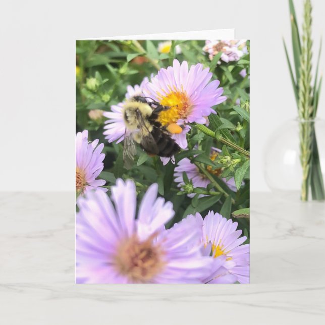 Bee and Blossom Greeting  Card (Front)