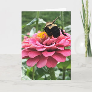 Bee and Blossom Greeting  Card