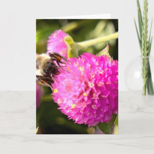Bee and Blossom Greeting  Card
