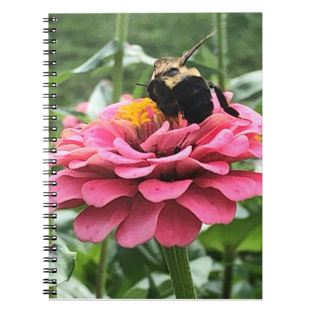 Bee and Blossom  Notebook (Front)