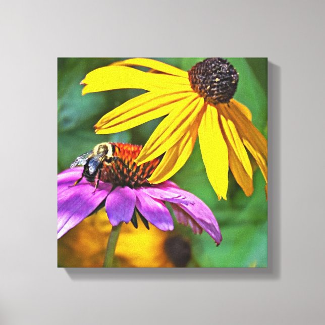 Bee and Blossoms Canvas Print (Front)