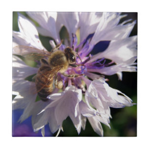 Bee and Blue Flower Tile