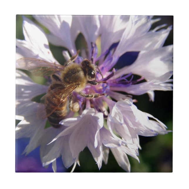 Bee and Blue Flower Tile (Front)