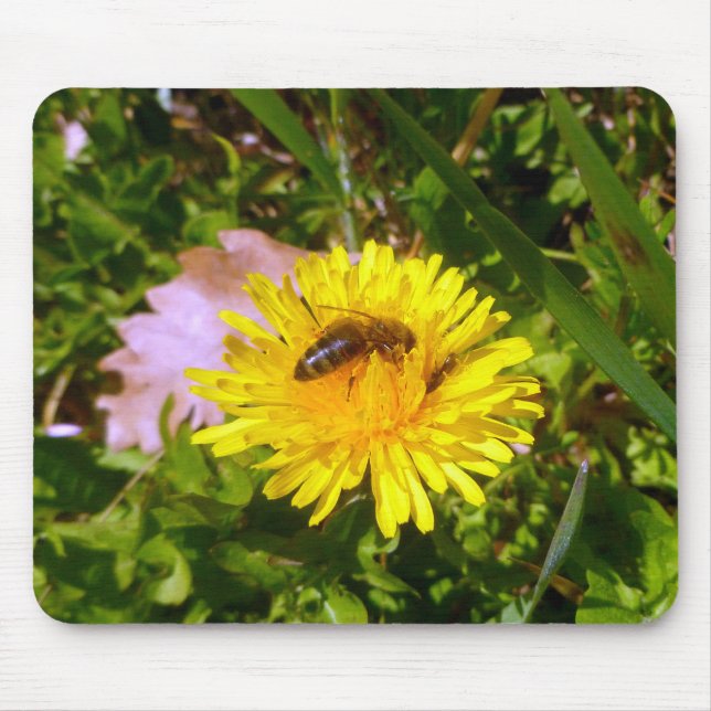 Bee and dandelion mouse pad (Front)