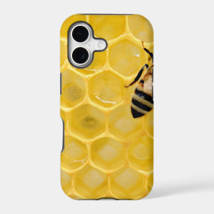 bee and honeycomb