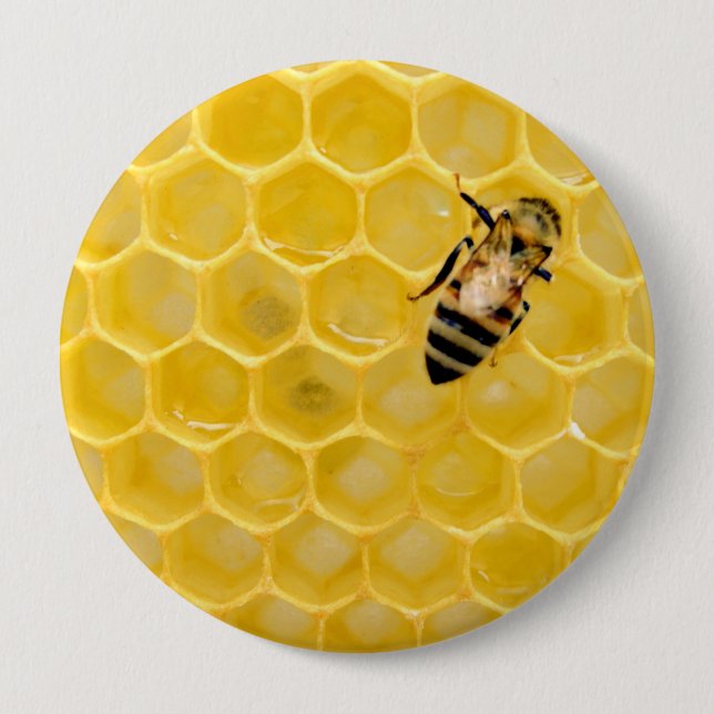 bee and honeycomb 4 inch round button (Front)