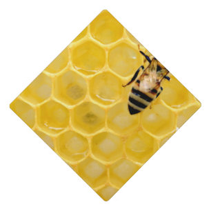 bee and honeycomb graduation cap topper