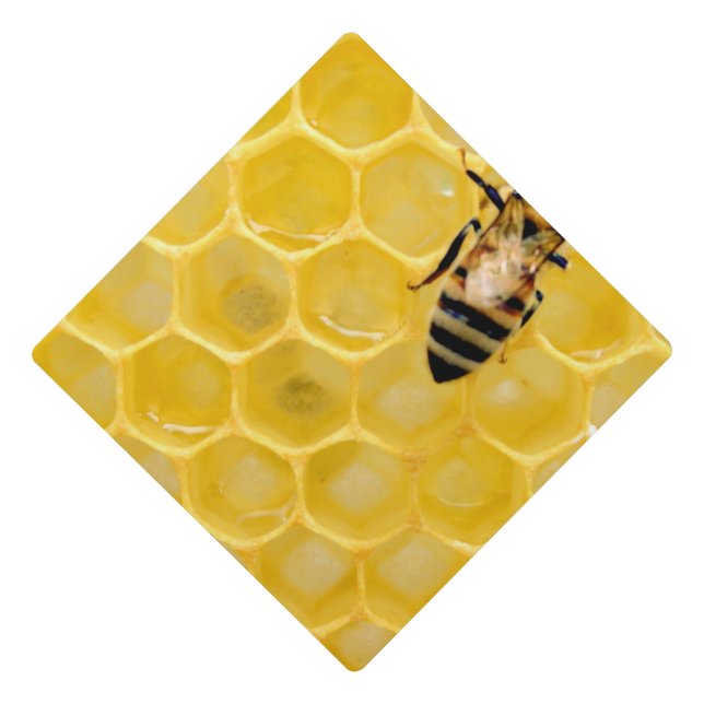 bee and honeycomb graduation cap topper (Front)