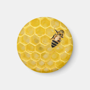 bee and honeycomb magnet
