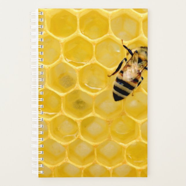 bee and honeycomb planner (Front)