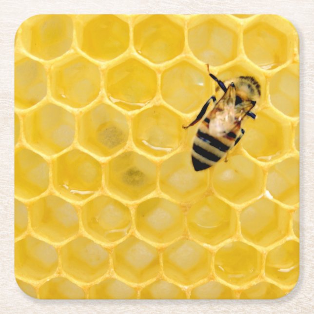 bee and honeycomb square paper coaster (Front)