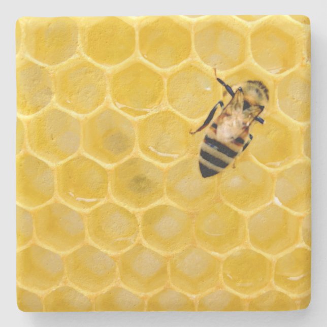 bee and honeycomb stone coaster (Front)