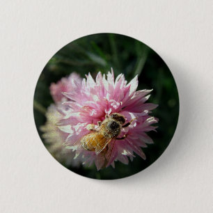 Bee and Pink Flower 2 Inch Round Button