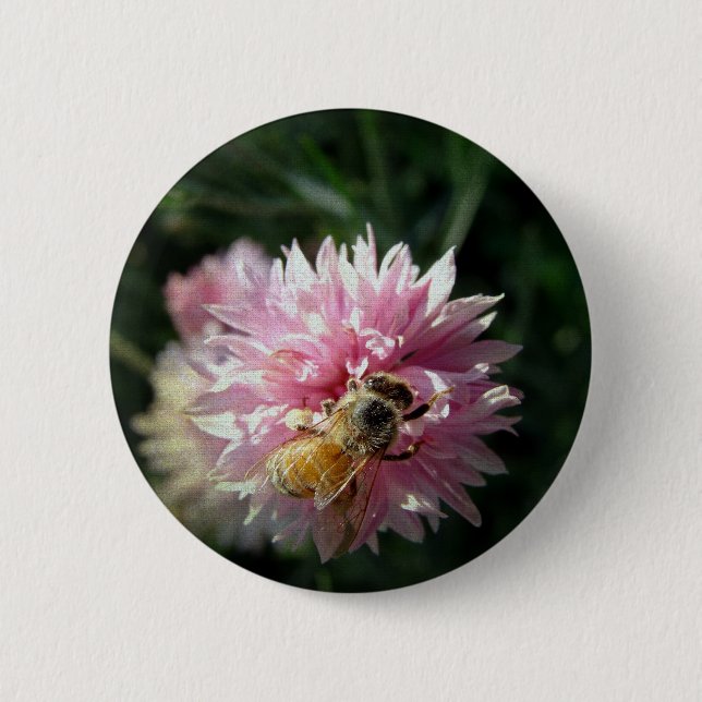 Bee and Pink Flower 2 Inch Round Button (Front)