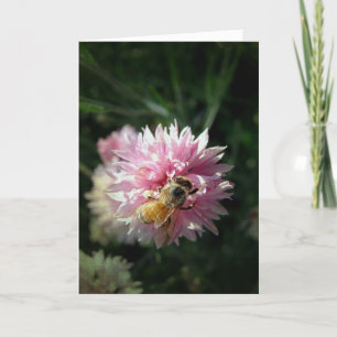 Bee and Pink Flower Card