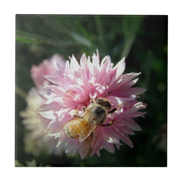 Bee and Pink Flower Tile (Front)