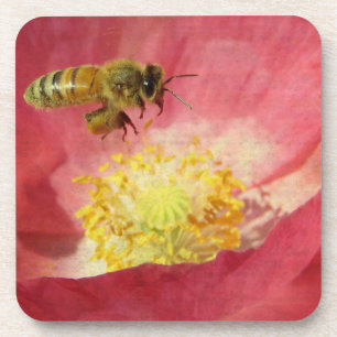 Bee and Poppy Flower Coaster