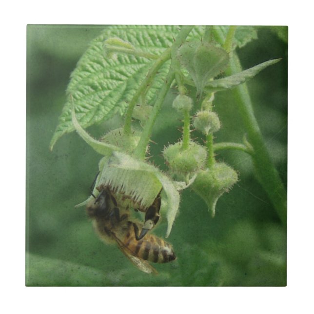 Bee and Raspberry Flowers Tile (Front)