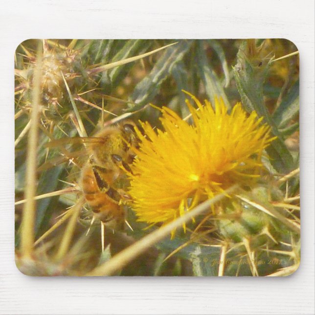Bee and Star Thistle (Centaurea solstitialis) Mouse Pad (Front)