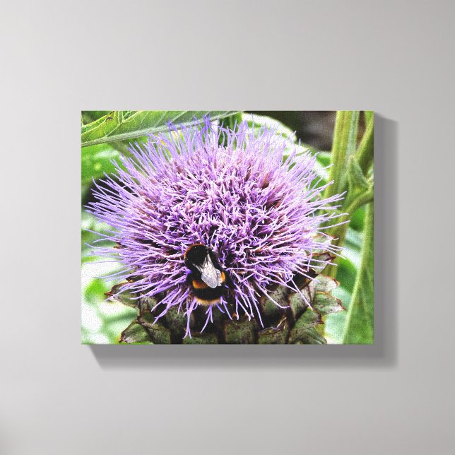 BEE AND THE ARTICHOKE FLOWER CANVAS PRINT (Front)