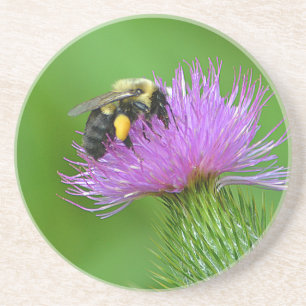 Bee and Thistle Sandstone Coaster