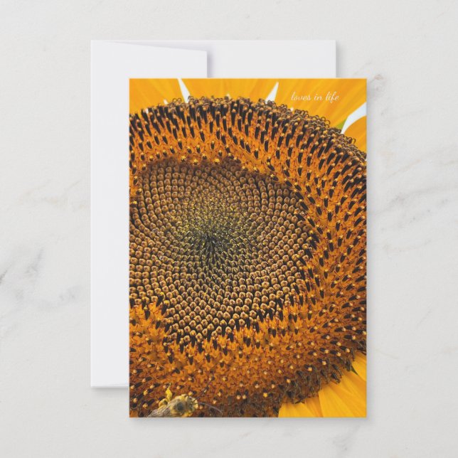 Bee Antennas & Sunflower  Card (Front)