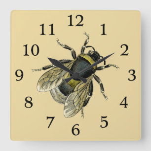 Bee antique illustration square wall clock