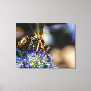 Bee Aware 24" x 18", 1.5", Single Wrapped Canvas