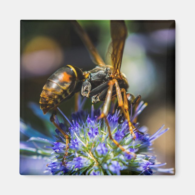 Bee Aware 2 Inch Square Magnet (Front)