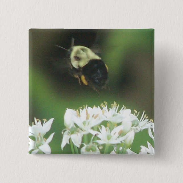 Bee Away 2 Inch Square Button (Front)