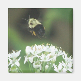 Bee Away Magnet