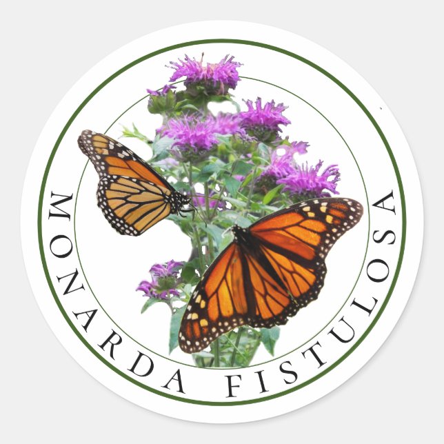 Bee Balm and Monarch Butterflies Classic Round Sticker (Front)