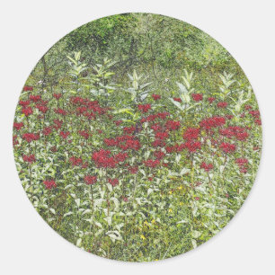 Bee Balm (Bergamont) in August Classic Round Sticker