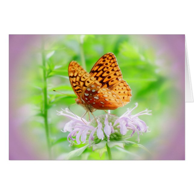 Bee Balm Butterfly - Fritillary (Front Horizontal)
