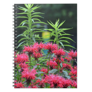 Bee Balm Notebook