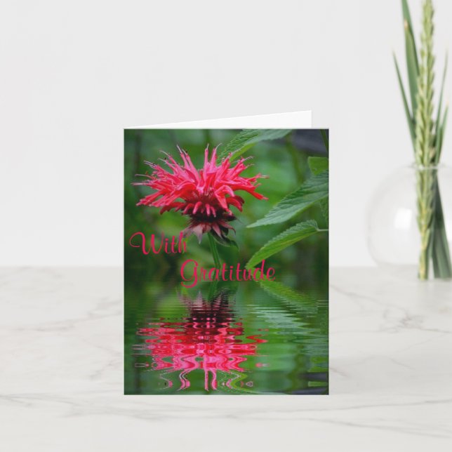 Bee Balm Reflection Thank You Card (Front)