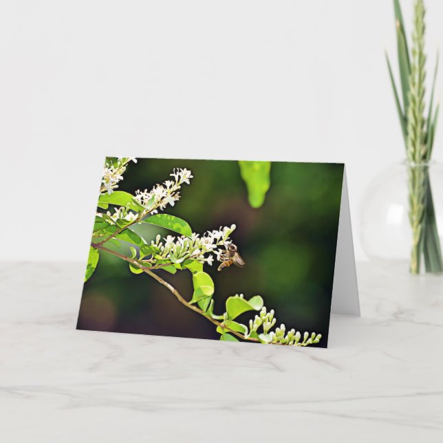 Bee Blossom Scripture Card Psalm 119:103 (Front)